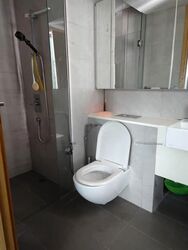 Eight Riversuites (D12), Condominium #536855051